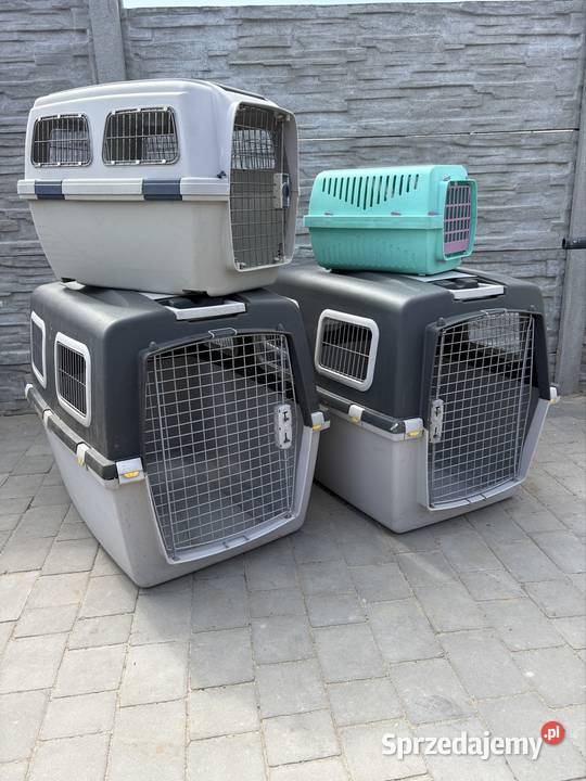 Transporter zwierzakówRozne Ostrów Wielkopolski