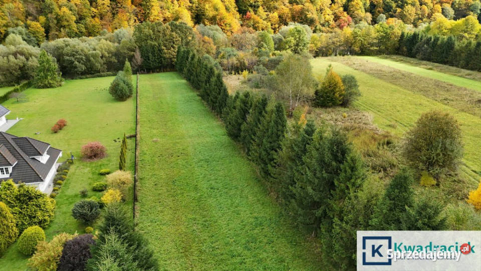 Grunt 41000m2 Łączki 10zł/m2