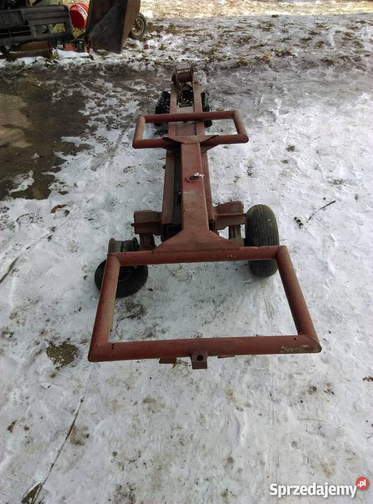 Motyleklaweta Sprzedażzamiana Sieraków