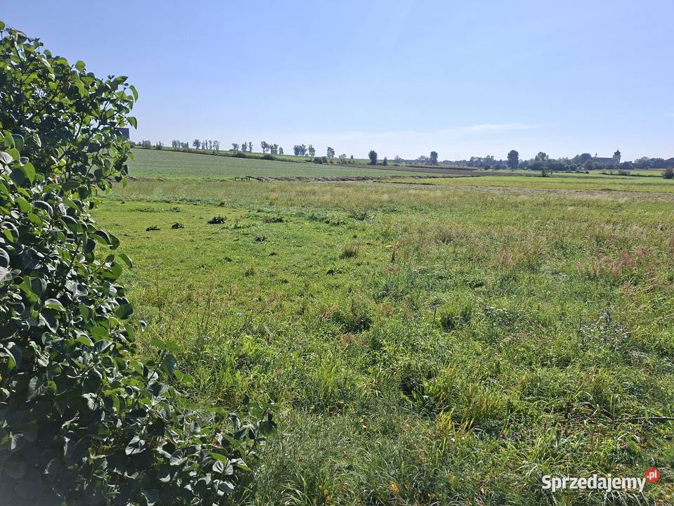 Działka budowlana 1623m z MPZP Gostyń