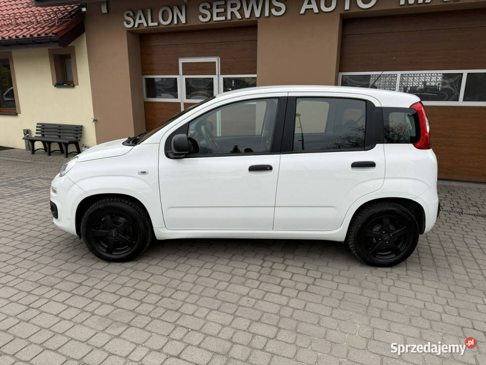 Fiat Panda Rezerwacja III 2011 Orzech