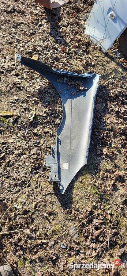 Błotnik Lewy Prawy Citroen C 5 II ładny stan Błotniki małopolskie Żabno