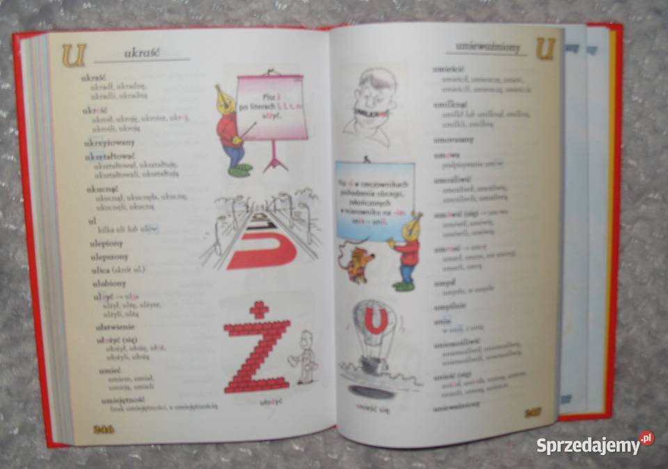 Napisz to Poprawnie Słownik ortograficzny klas twarda Rawicz