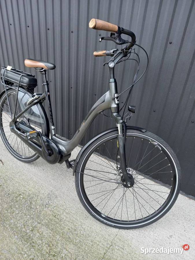 Rower elektryczny Giant Elegance