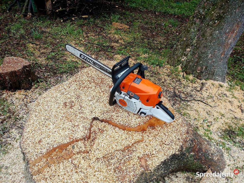 Wycinka drzew prace ogrodowe