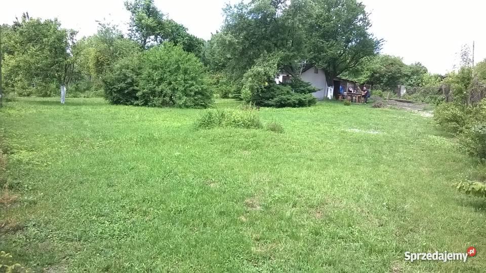 Ogródek działkowy ROD Przyszłość Bytom sprzedam