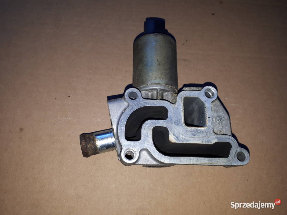 Zawór EGR Astra II 12 16V Miedźna