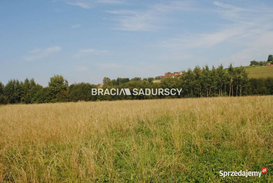 Grunt 9200m2 Gruszów Sprzedaż