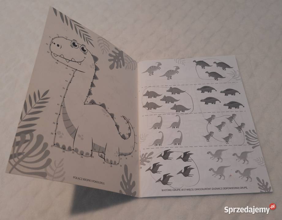 Activity Book ćwiczeń zadań łamigłówki dinozaury śląskie Czeladź