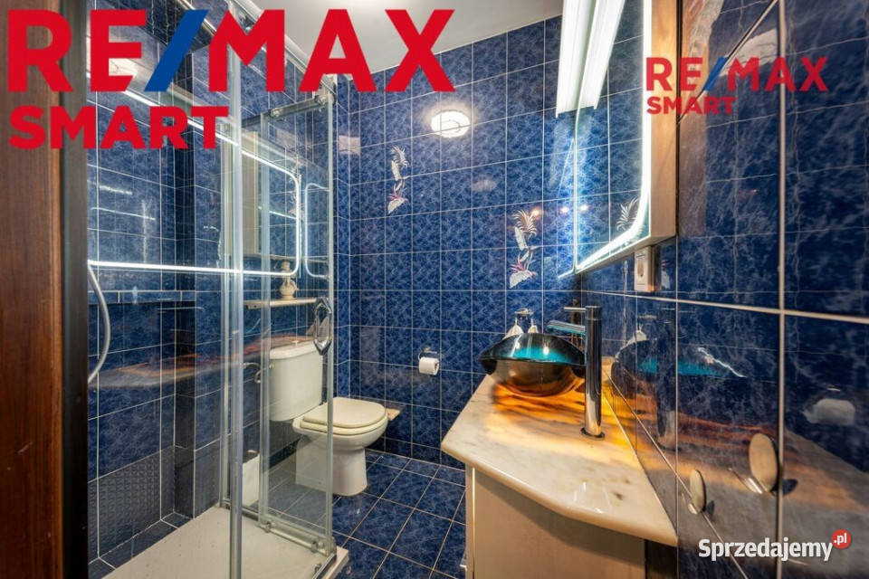 Rezydencja z kompleksem SPA i basenem Kanie mazowieckie