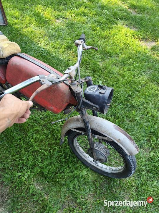 Jawa jawka Łęczna