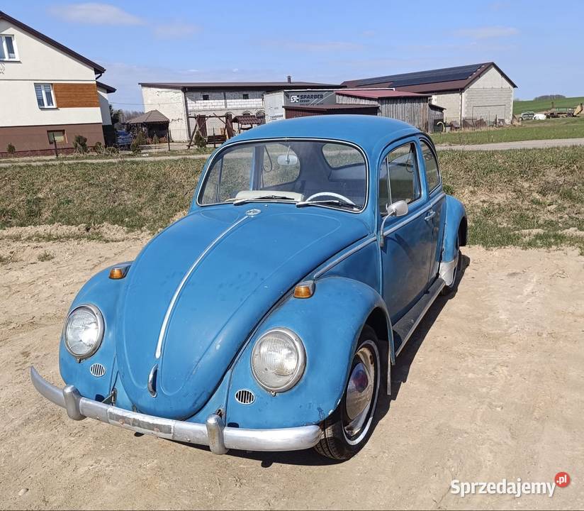 VW Garbus 1300 1965 1300cm3 Garbus Wrocław