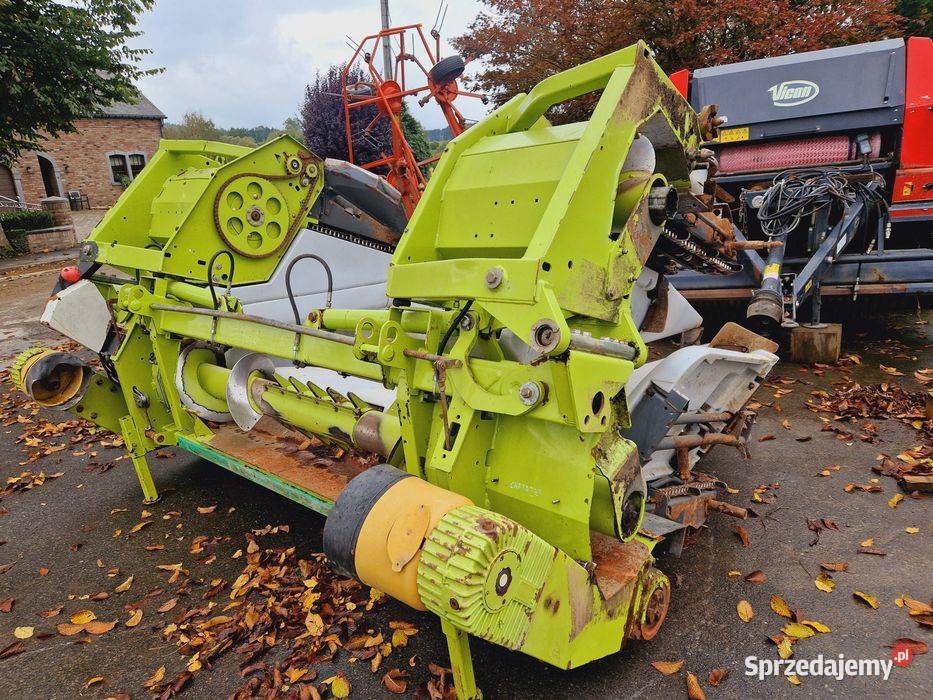 Claas Conspeed 675 FC 2017r przystawka na ziarno Dobrzyniewo Duże