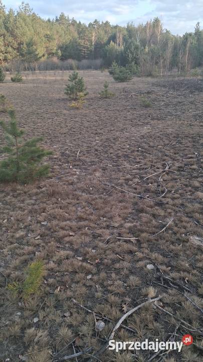 Sprzedam działkę rekreacyjną Karolówka