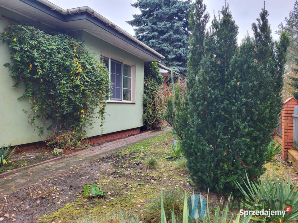 Dom wolnostojący do sprzedania 226m2 Chylice wolnostojący sprzedam