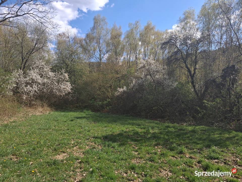 Lipnica dolna Działka rolnoleśna