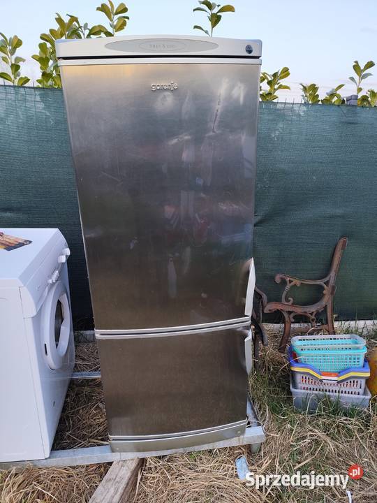 Lodówka zamrażarka Lubin