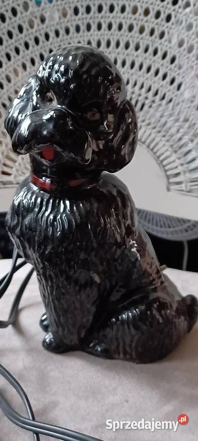 PUDEL CERAMICZNY 20 WYS BYL LAMPKĄ TERAZ W czarny Poznań sprzedam