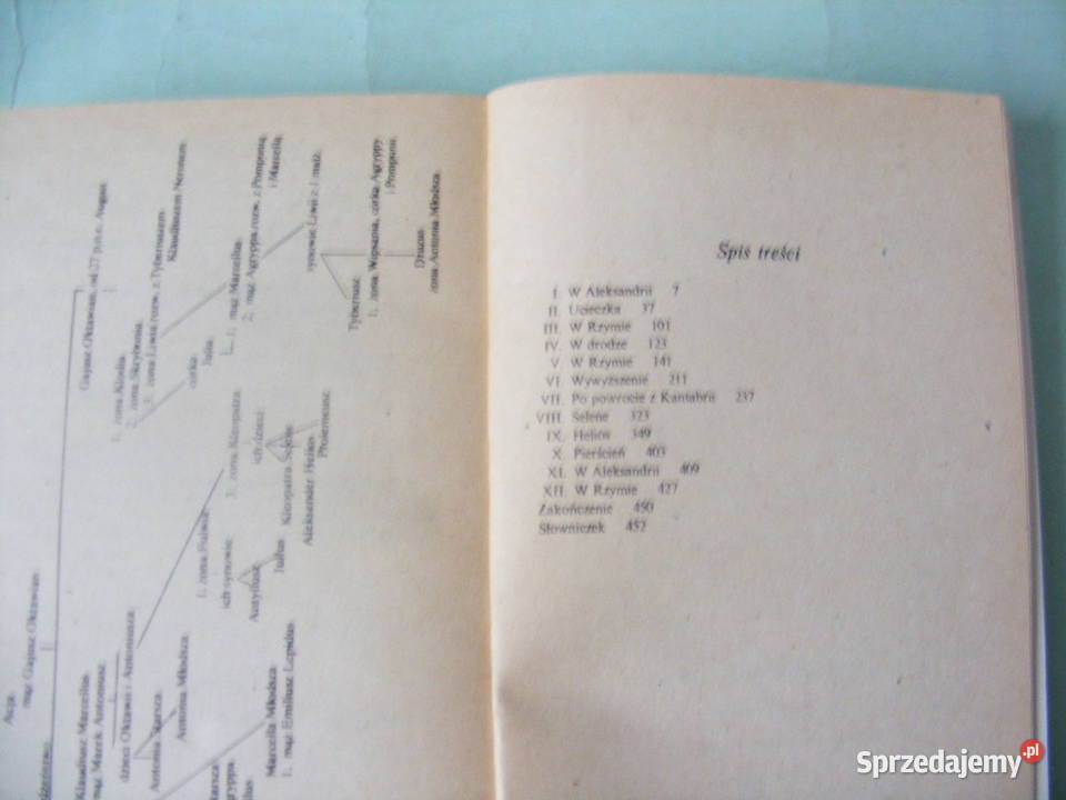 Biegnąca falach Piętno krwi Selene córka literatura piękna - proza zagraniczna Oborniki Śląskie sprzedam