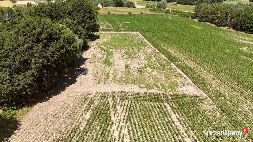 Działka z WZabudowy w Radzanku GmMaszewo