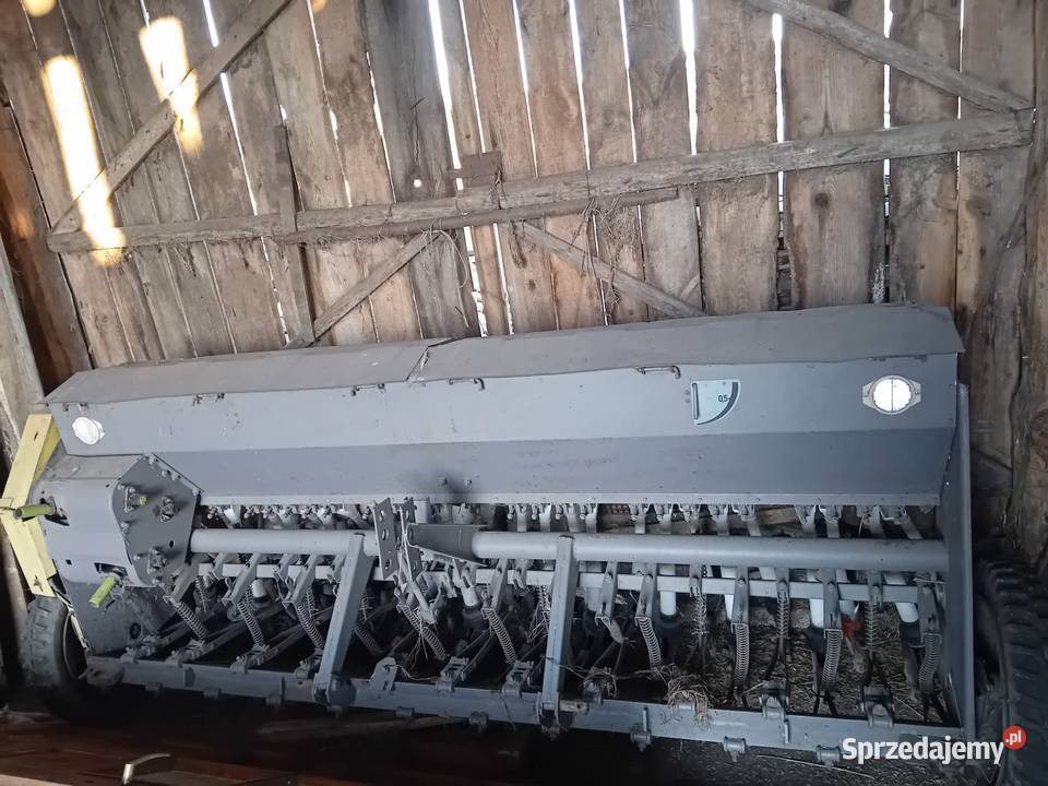 Siewnik Poznaniak mazowieckie Przyjmy k. Poręby