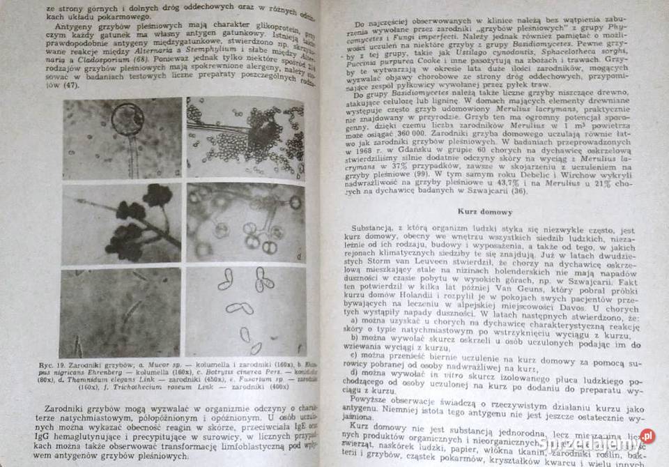 Alergologia internistów Bogdan Romański