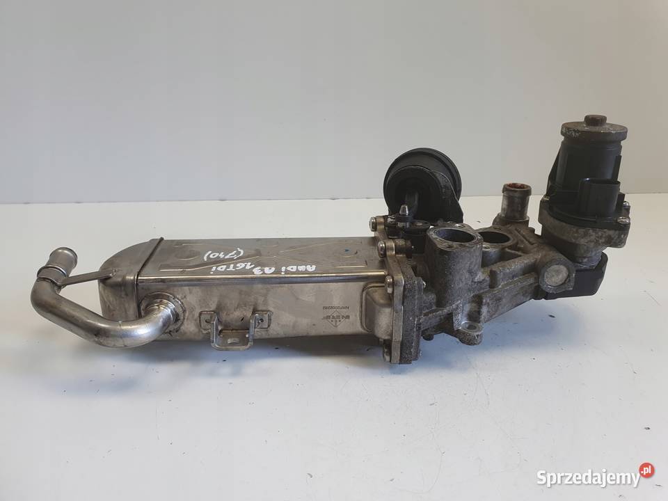 Audi A3 II 8P 16 TDI CHŁODNICA SPALIN egr osobowe Chełm
