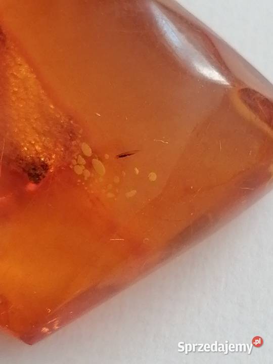 Bursztyn inkluzja Białystok