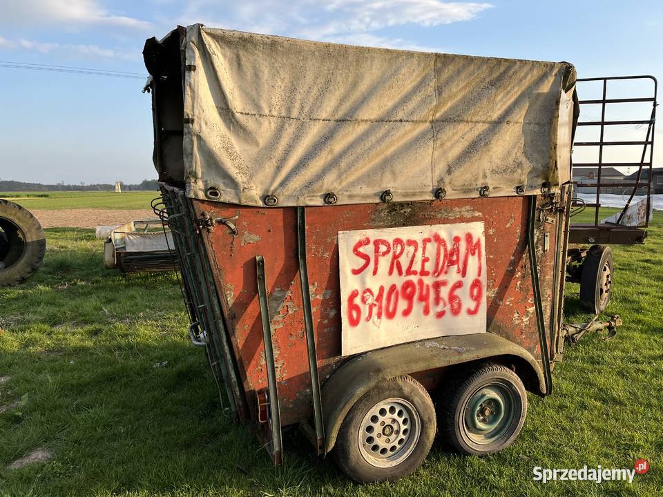 Przyczepa do przewozu koni bydła zwierząt Do przewozu koni łódzkie