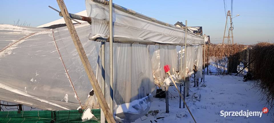 Sprzedam daszki pod uprawę truskawek Waleńczów