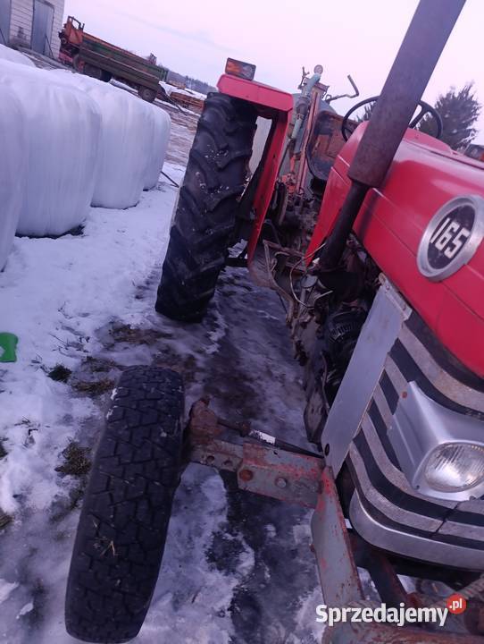 Ferguson 165 mazowieckie Łosice