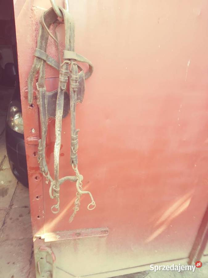 Uprząż musztug kantar lejce zachodniopomorskie Pyrzyce