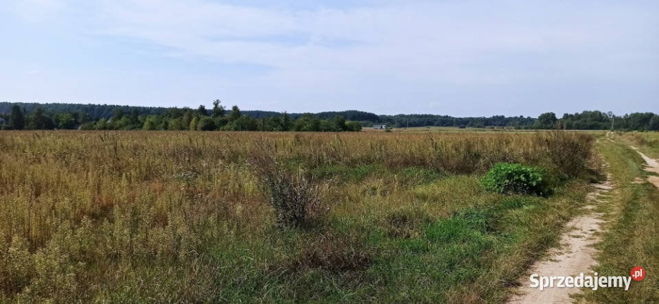 Siemiatycze Żeromskiego DZIAŁKA BUDOWLANA budowlana Sprzedaż