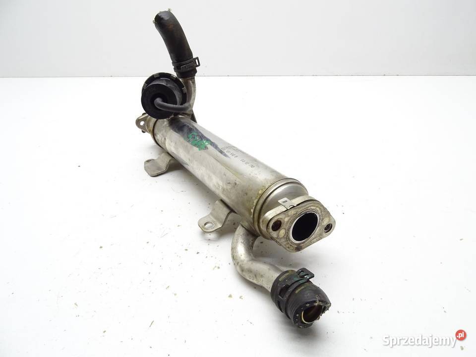 CHŁODNICA SPALIN EGR 03L131512B 20 TDI AUDI A3 małopolskie