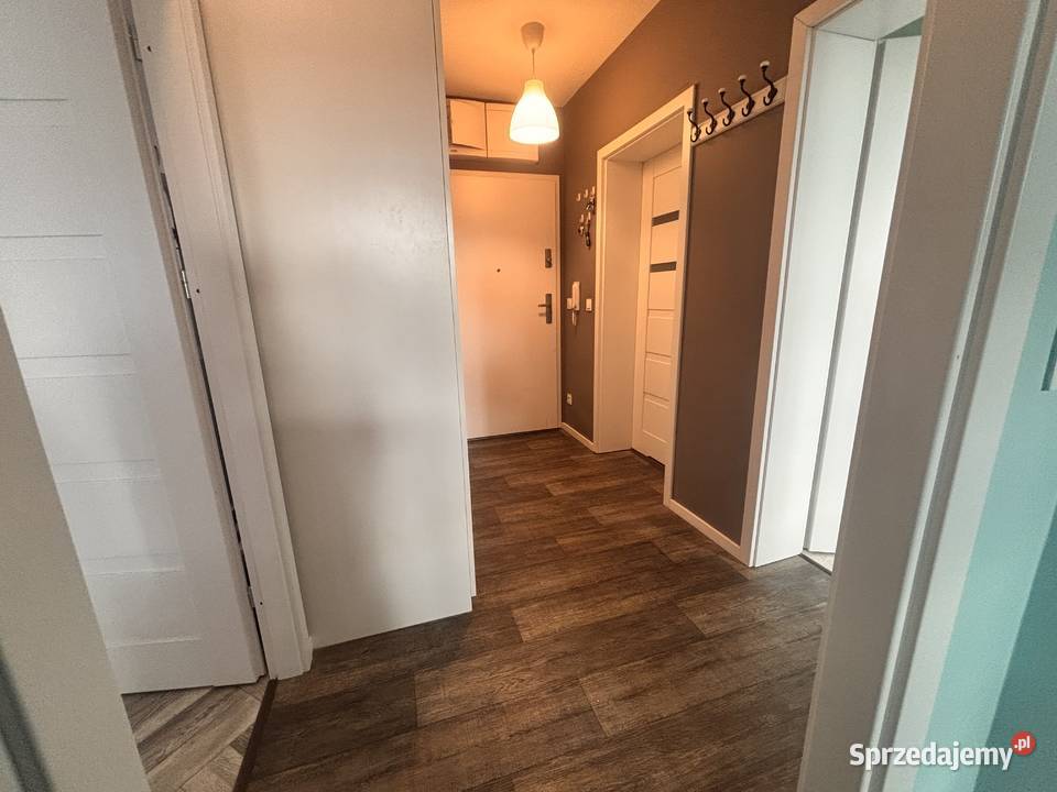 Sprzedaż 2 pój mieszkanie Jagodno Wrocław 13400zł/m2 sprzedam