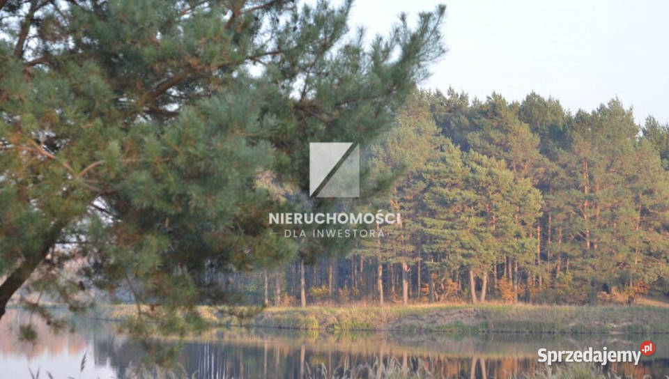 Działka budowlana 4000 mkw widok na staw Wełmin sprzedam