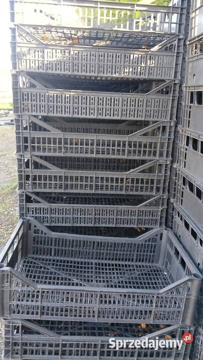 Skrzynki plastikowe 503012 400 Łask