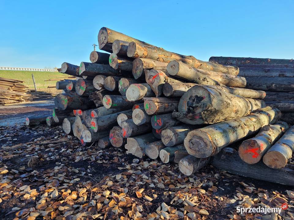 Buk drewno opałowe Łańcut