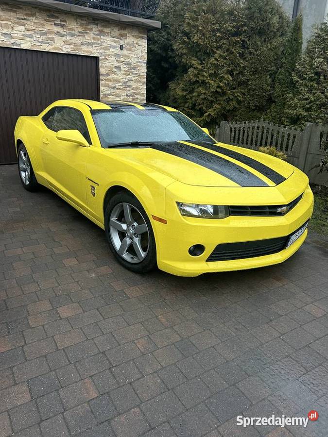 Camaro 36V automat Zator