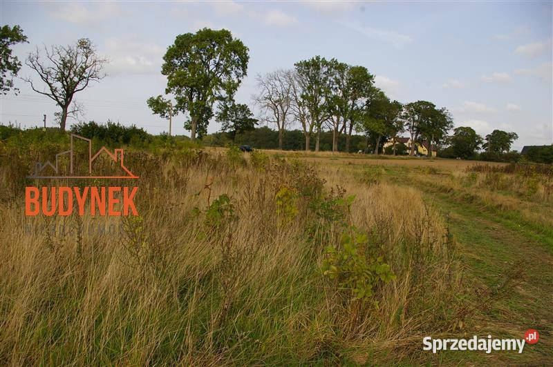 Działka budowlana Karsino 1500m2