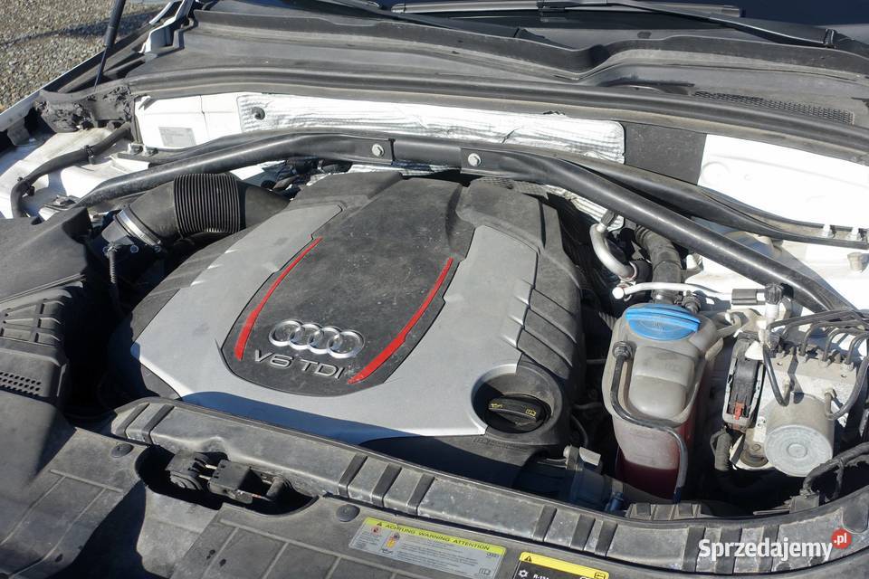 Audi SQ5 30TDI 313 Quattro 4x4 Automat Niski Audi śląskie Buczkowice