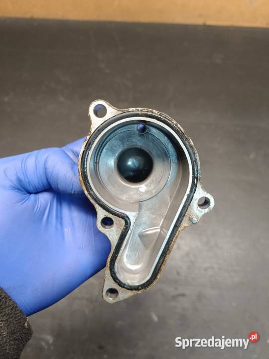 Osłona pompy wody dekiel pokrywa kapa silnik Gołaczewy