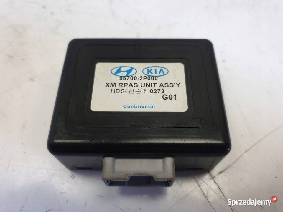 Sorento II 22 CRDI STEROWNIK MODUŁ 957002P000 Rudka