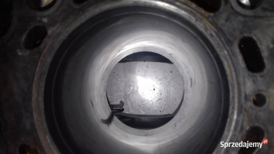 Blok silnika F9K 19 dci Trafik Vivaro Laguna Jaworzno