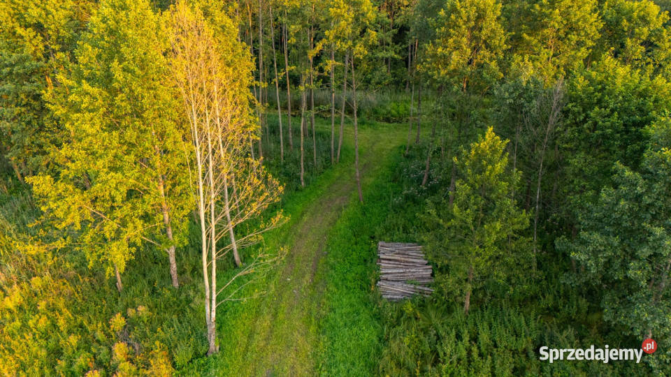Działka budowlana jeziorem kAugustowa 1000m2 Gorczyca