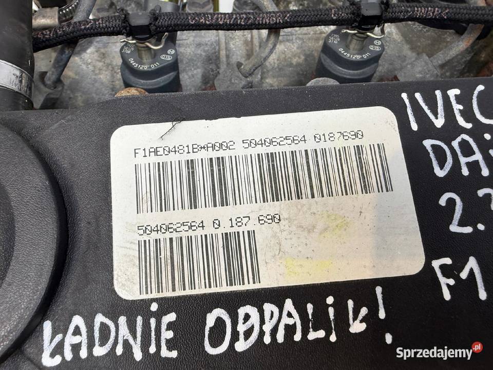 SILNIK F1AE0481B Iveco Daily III 23 HPI 116 osobowe Silniki kompletne Chełm