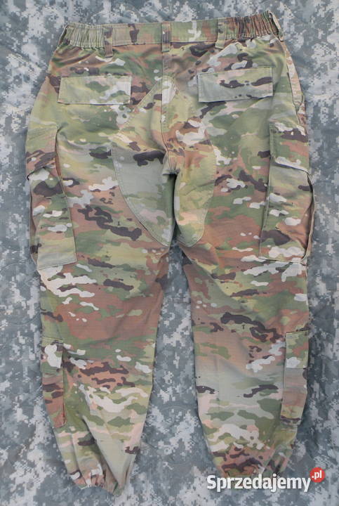 Spodnie ACU multicam OCP 31 regular FEMALE