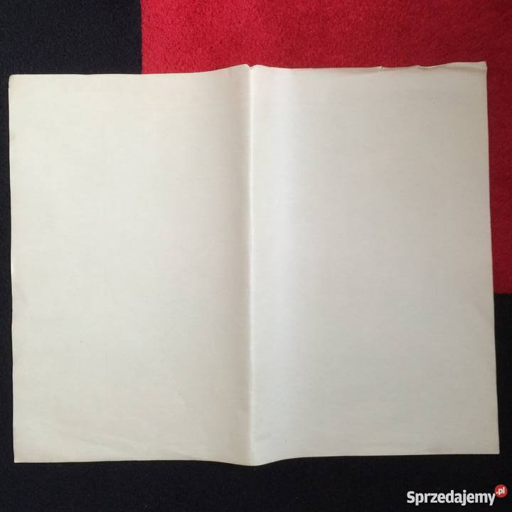 878 Mapa Niemiecka Kalisz Antykwariat Szczecin