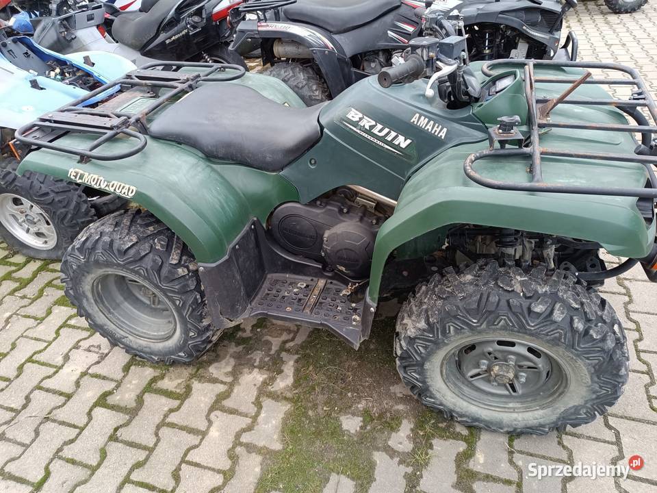 yamaha kodaik bruin nadkole błotnik dyfer wielkopolskie Borzęciczki