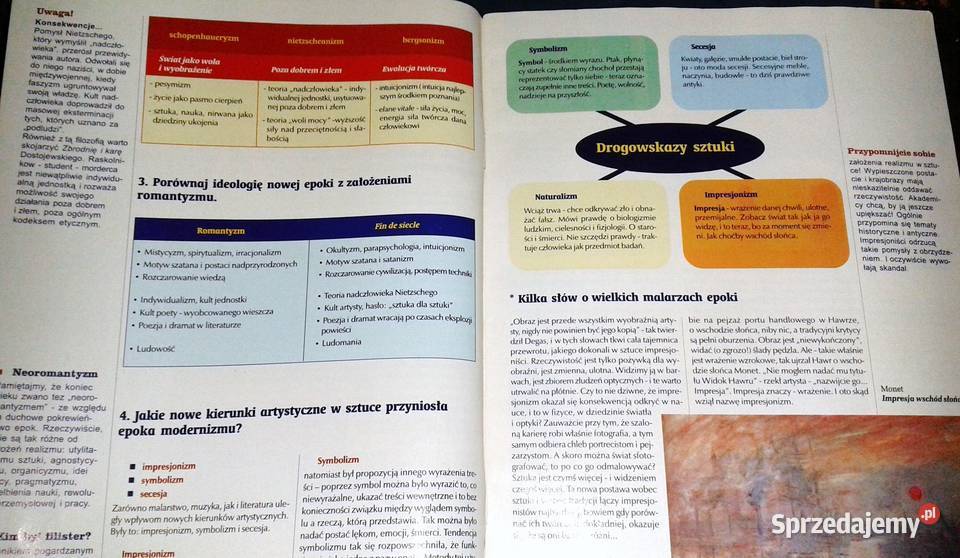 Cogito Język polski 6 Pytania i odpowiedzi Kultura i Rozrywka Chełm